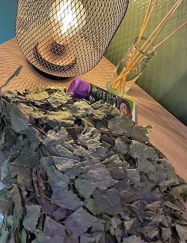 Ferienhaus Mit Privatsauna