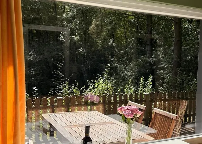 Ferienhaus Mit Privatsauna Lage (Lippe)